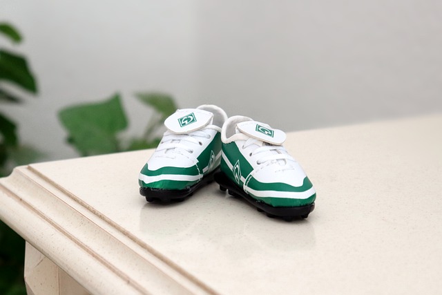 防守系统相 防守系统相