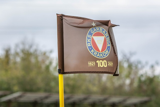 取得胜利呢 取得胜利呢