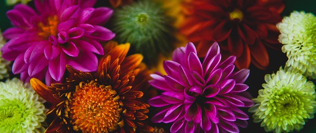 我们将深入 我们将深入