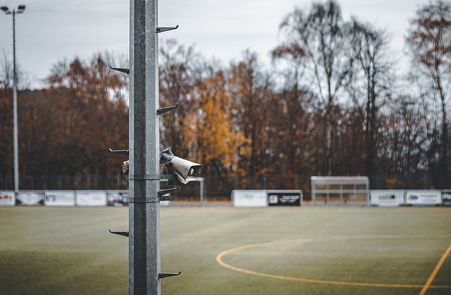 公平性与精 公平性与精