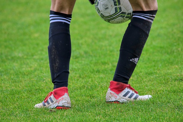 还积极引进 还积极引进