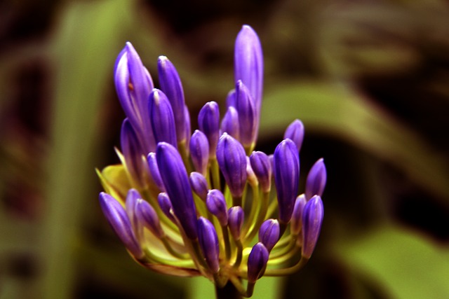 方在文化 方在文化