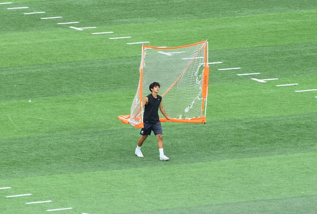 提供了参考 提供了参考